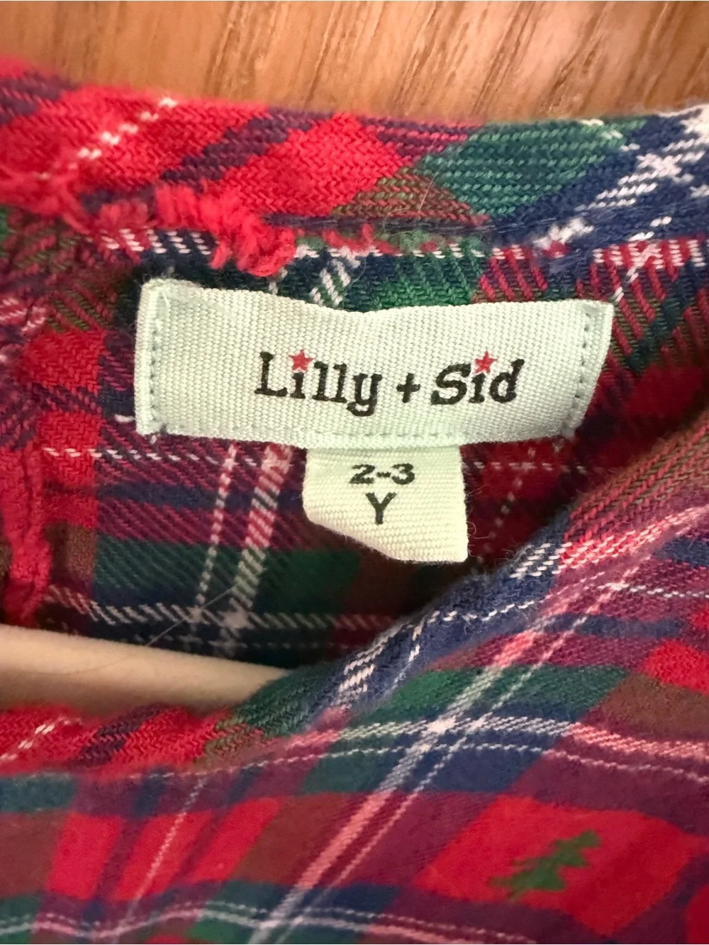 Lily & Sid Red Plaid Holiday Appliqué Dress